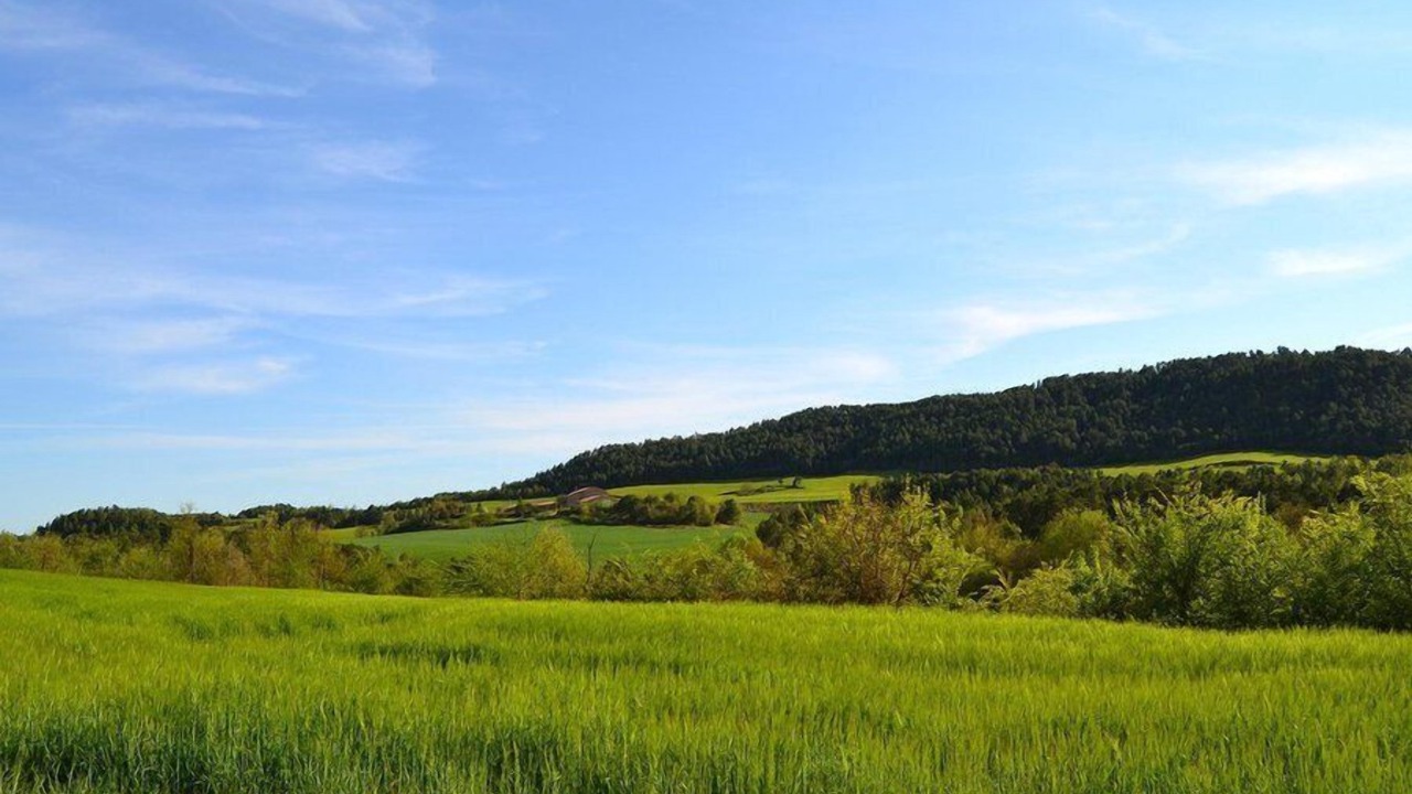 Photo of Others in Lladurs