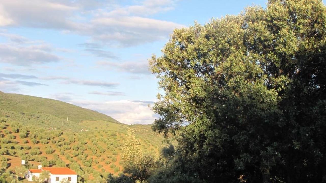 Photo of Others in Pozoblanco