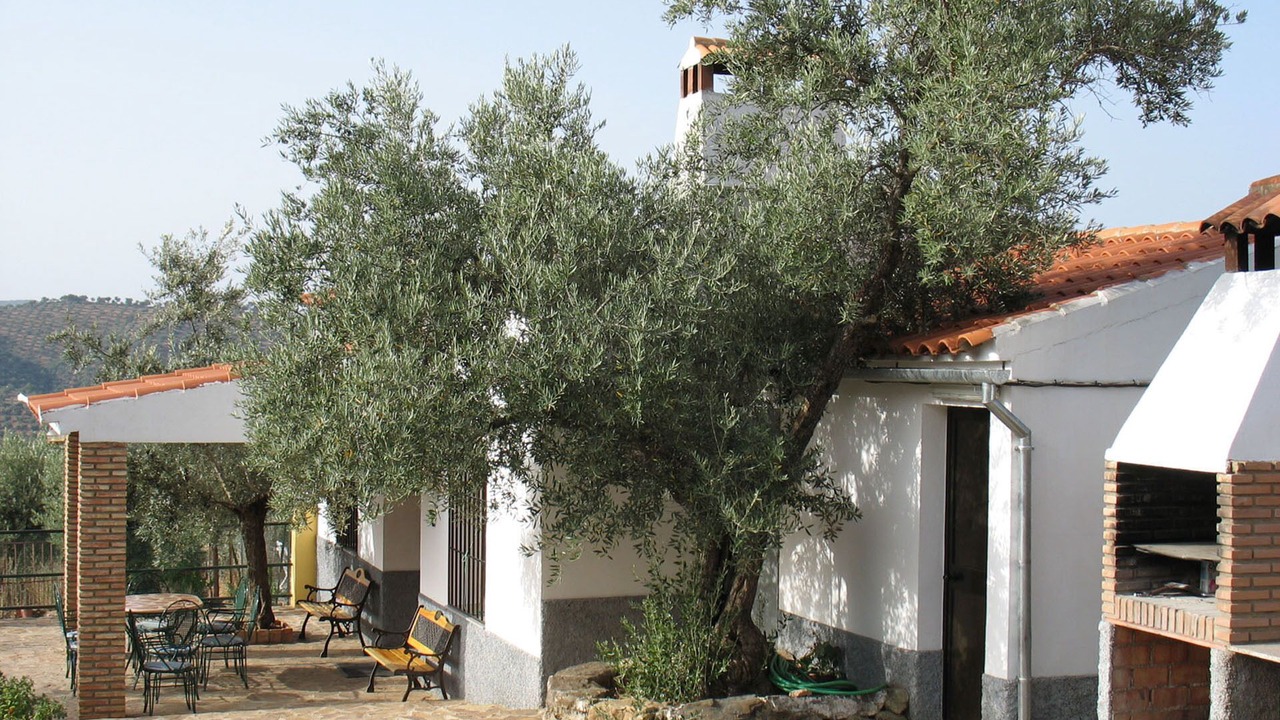 Photo of Patio Balcony in Pozoblanco