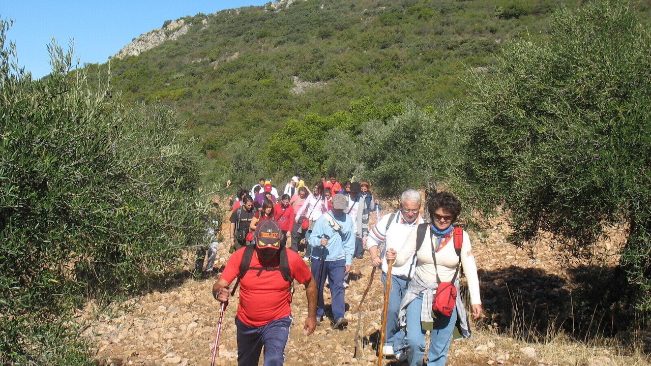 Photo of Others in Pozoblanco