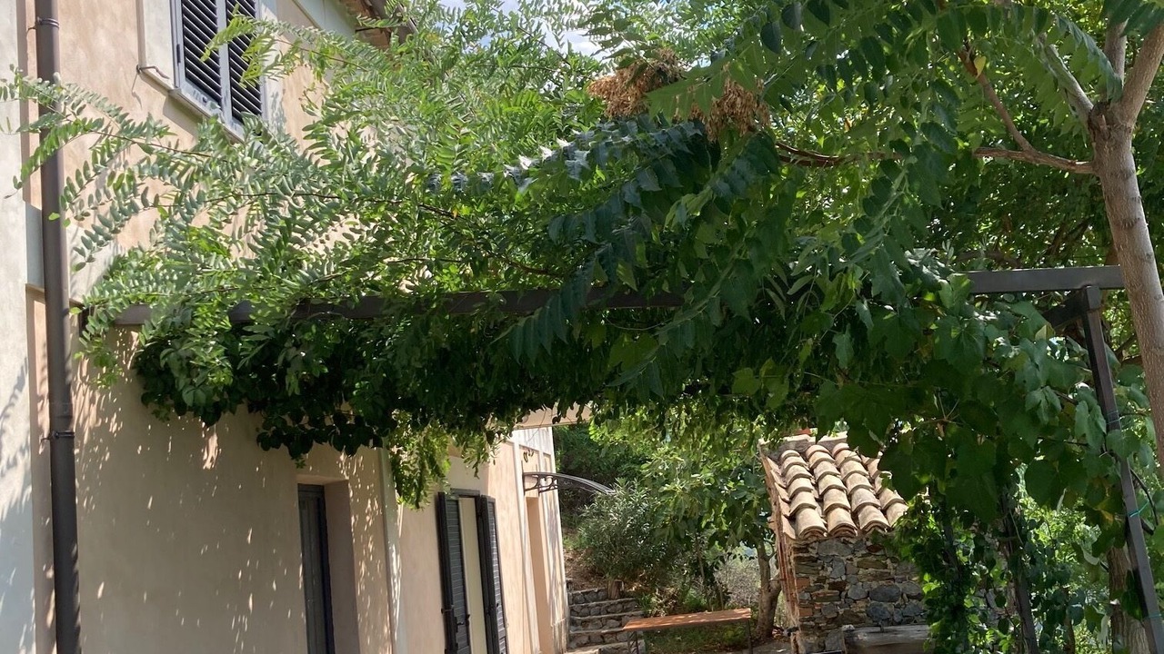 Photo of Outdoor in Nocera Terinese