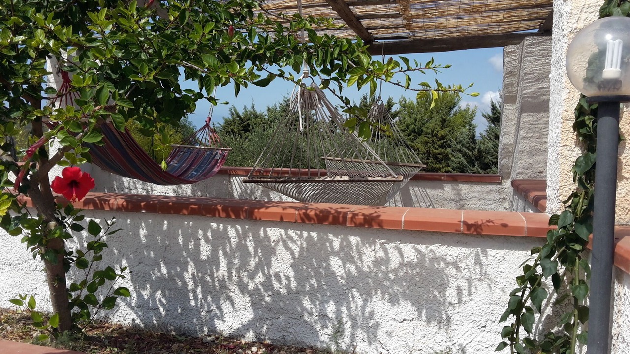 Photo of Outdoor in Ribera