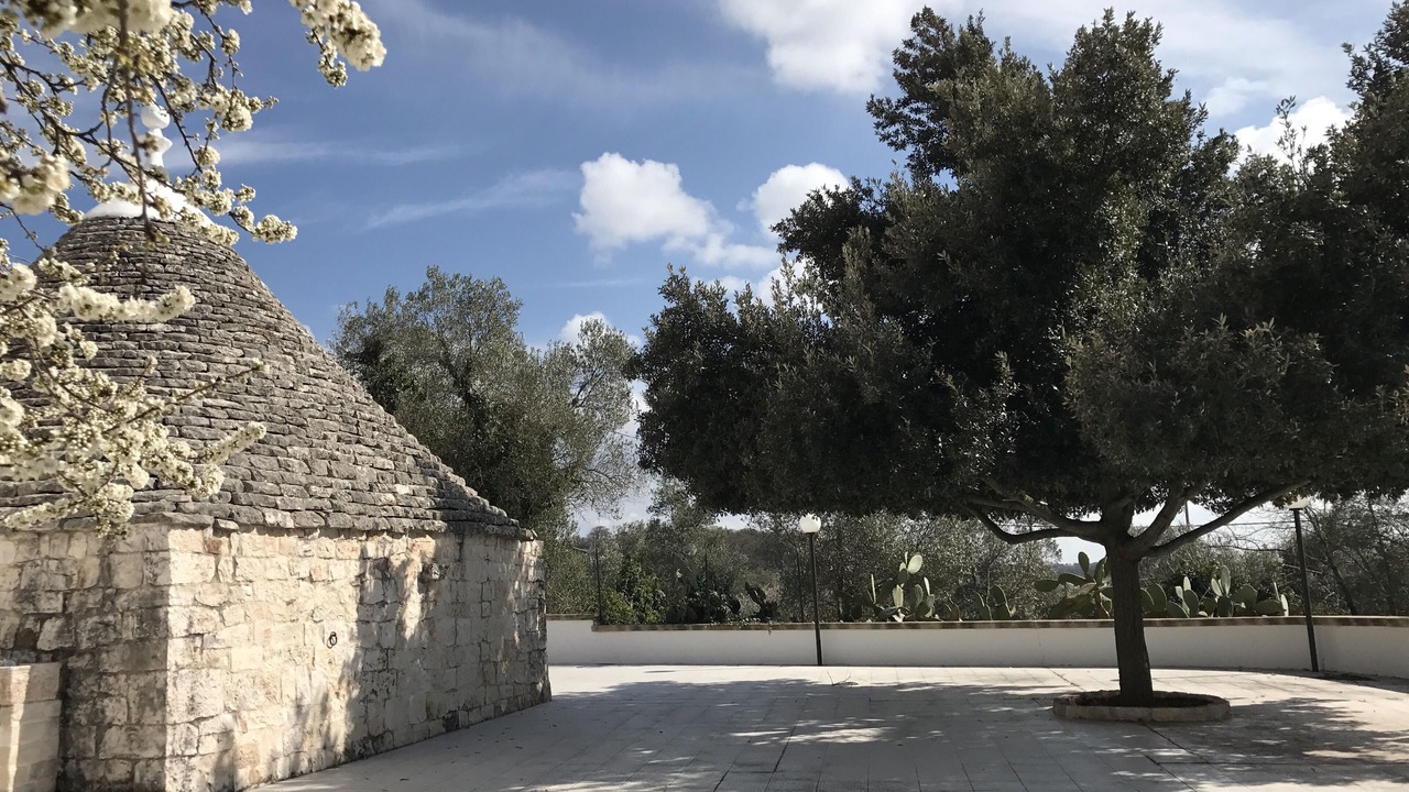Photo of Outdoor in Impalata