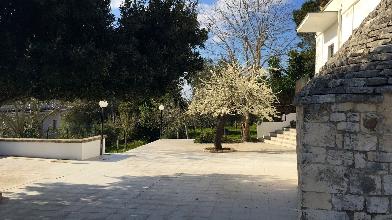 Photo of Outdoor in Impalata