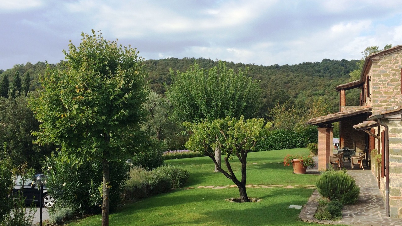 Photo of Others in Monte San Savino