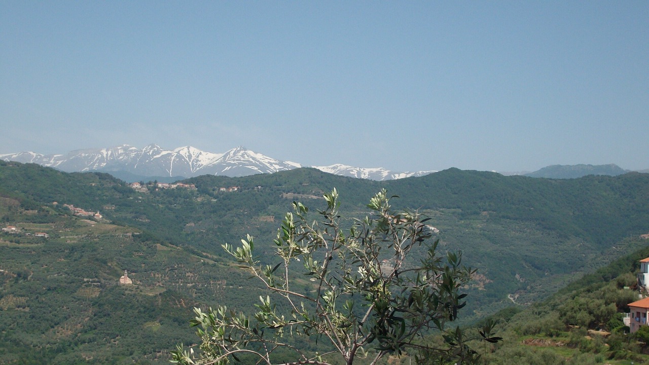 Photo of Outdoor in Torria
