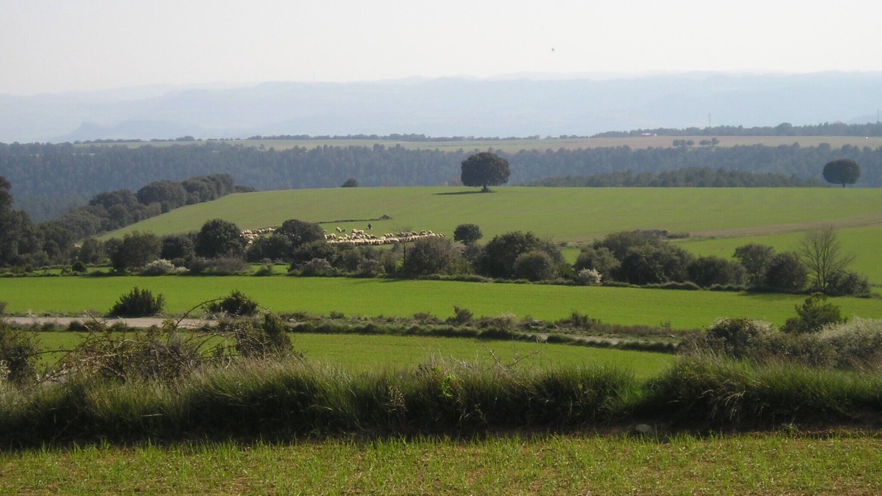 Photo of Others in Lladurs