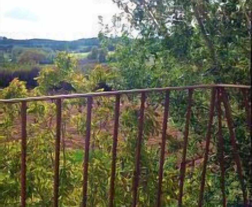 Photo of Outdoor in Villanueva de la Jara