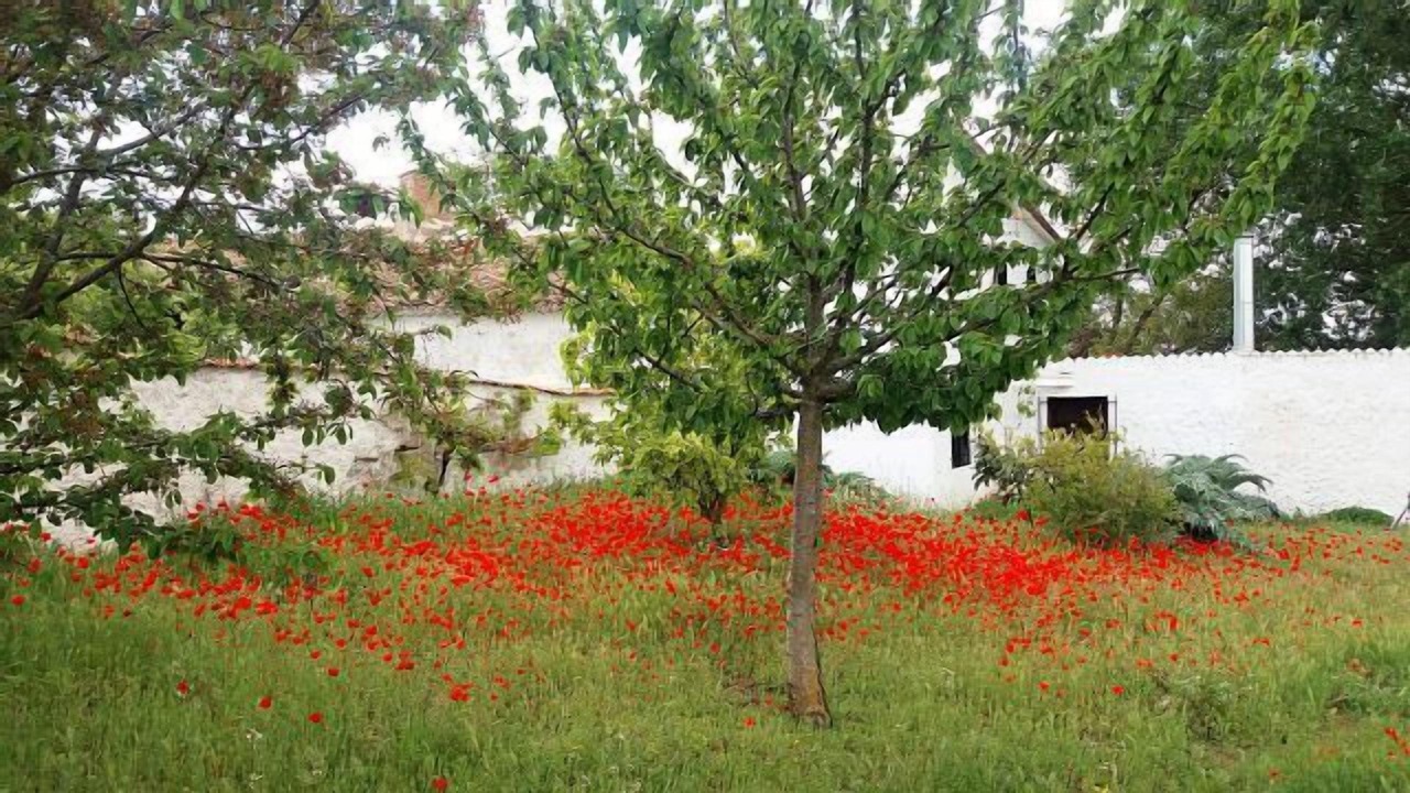Photo of Outdoor in Villanueva de la Jara