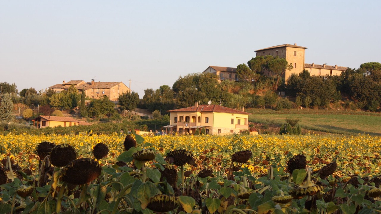 Photo of Outdoor in Bagnaia