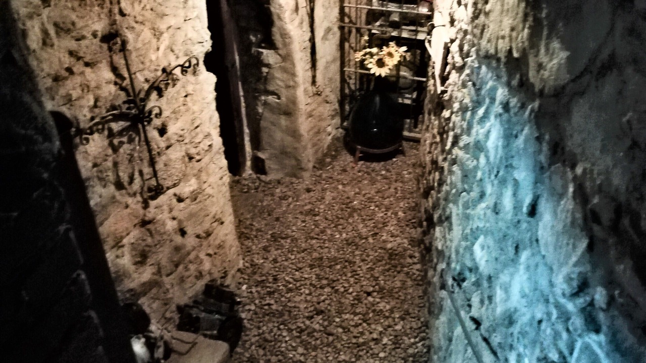 Photo of Others in Mandello del Lario