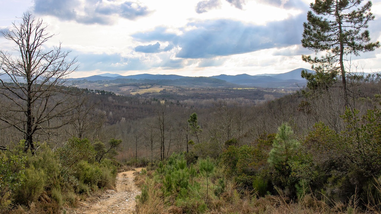 Photo of Outdoor in Monticiano
