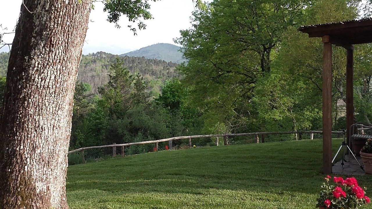Photo of Outdoor in Monticiano