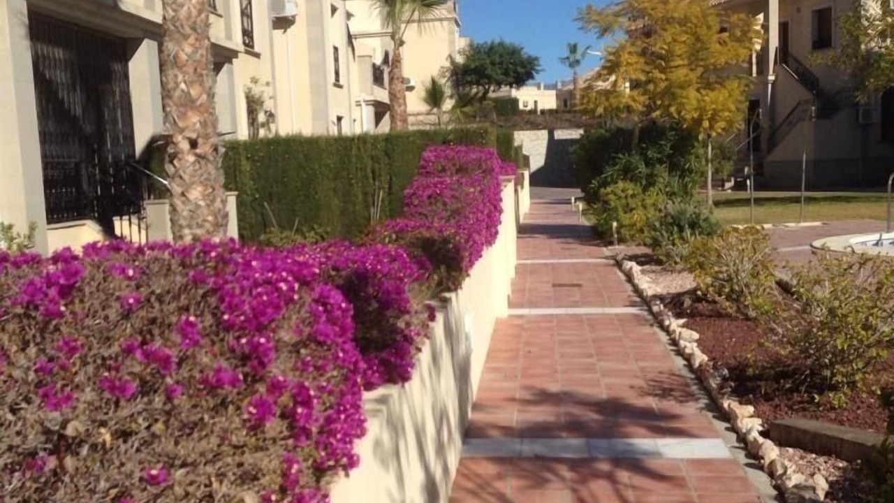 Photo of Outdoor in Algorfa
