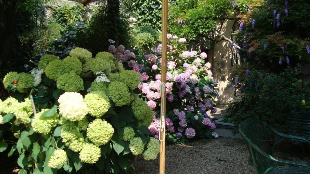 Photo of Outdoor in Pinerolo