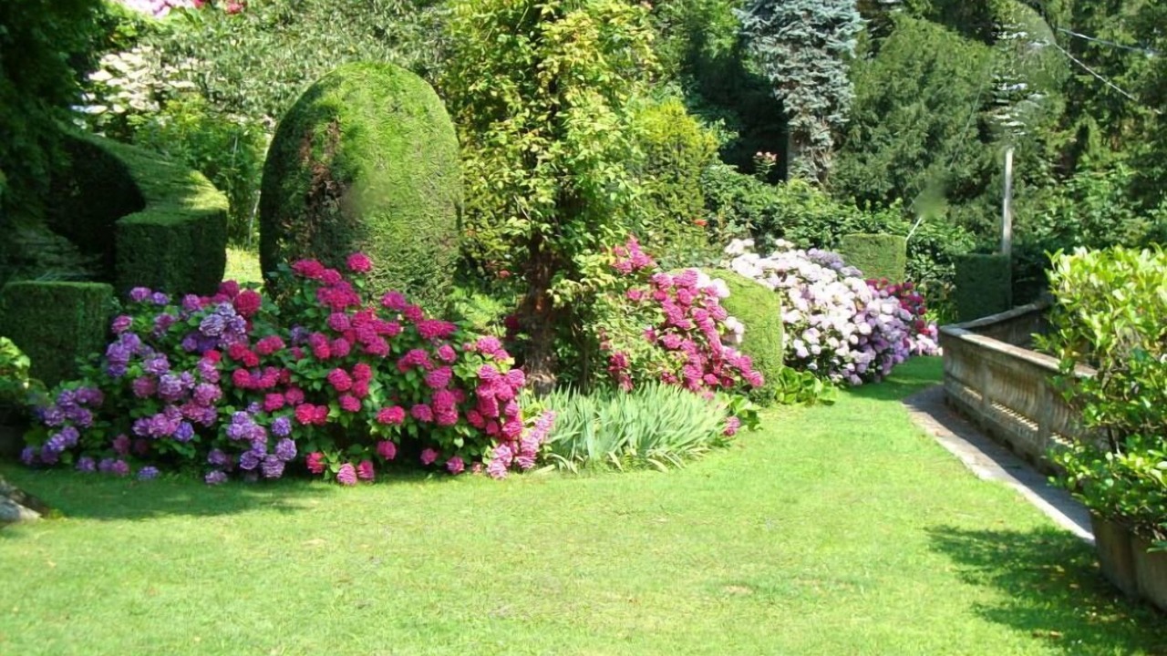 Photo of Outdoor in Pinerolo