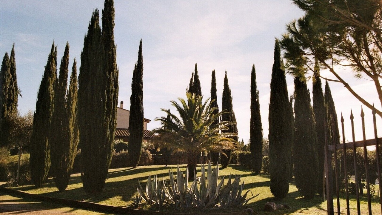 Photo of Outdoor in Gavorrano