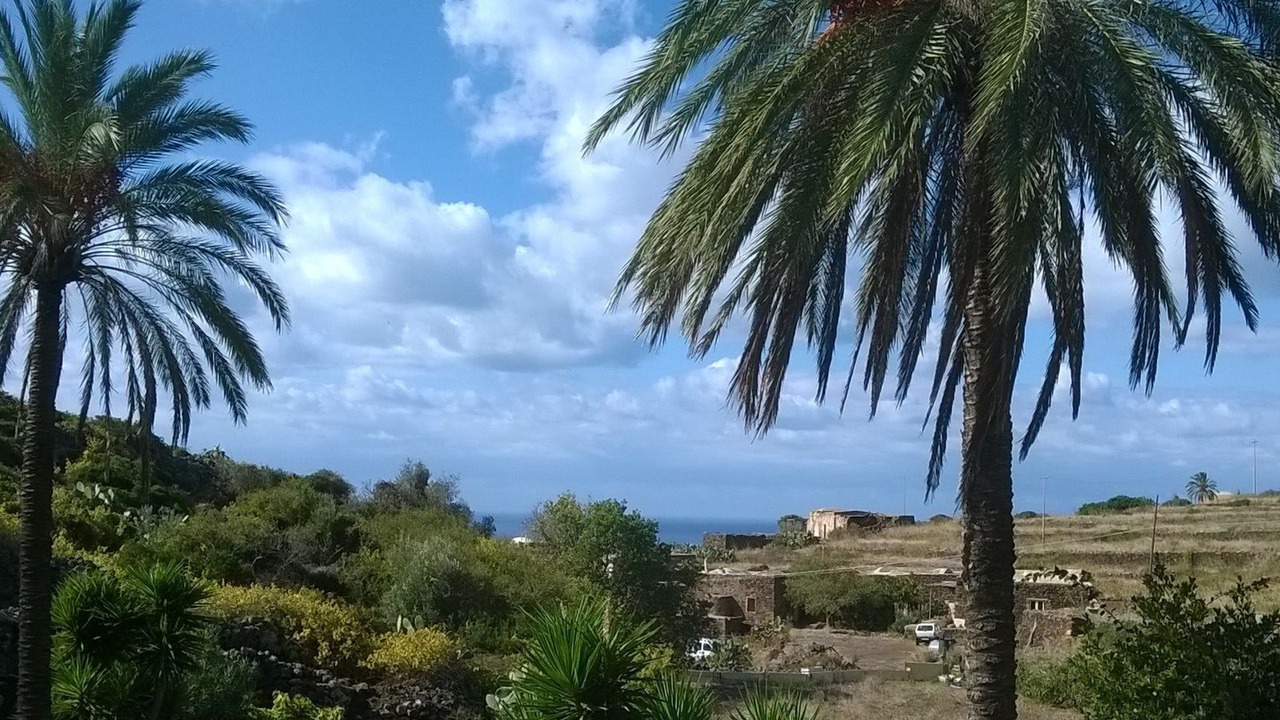 Photo of Others in Pantelleria