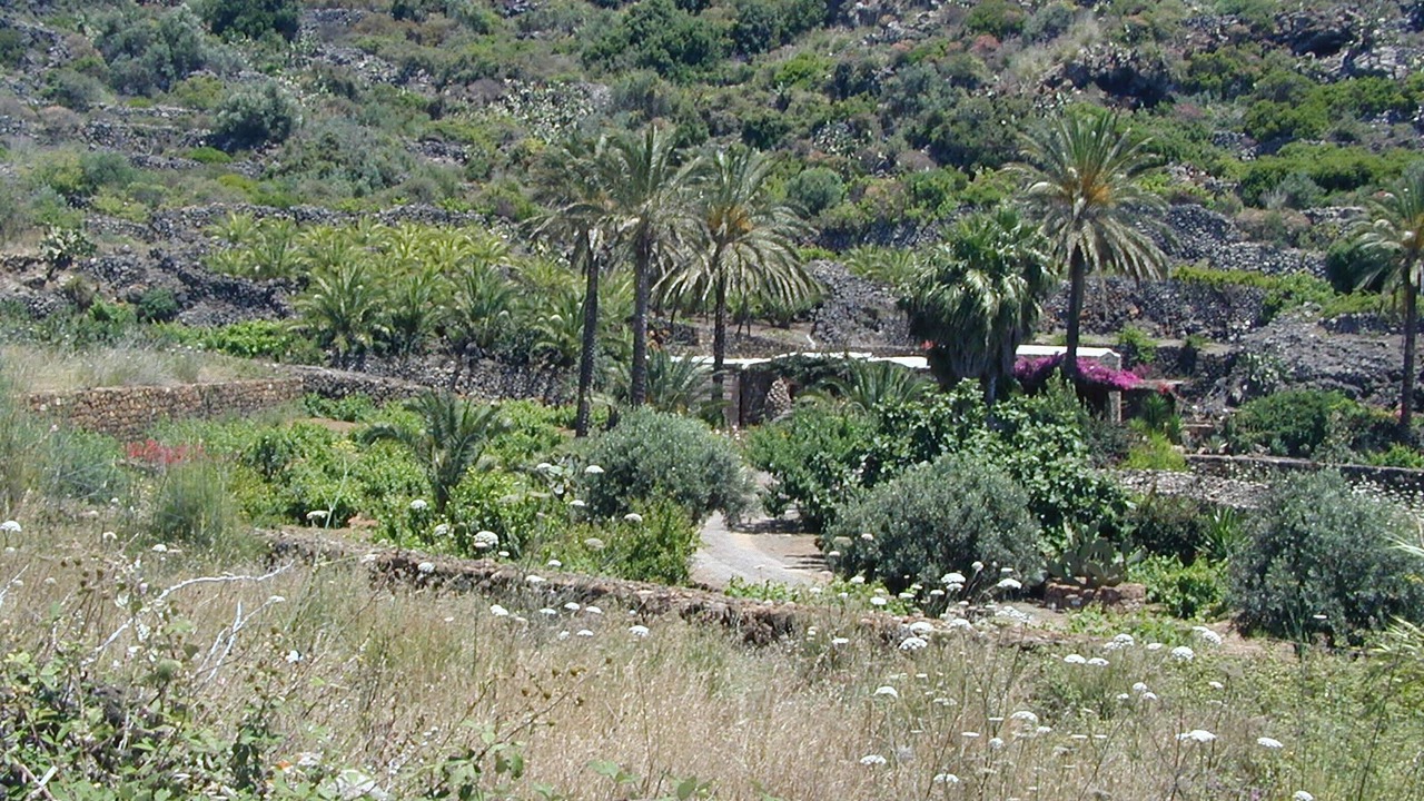 Photo of Outdoor in Pantelleria