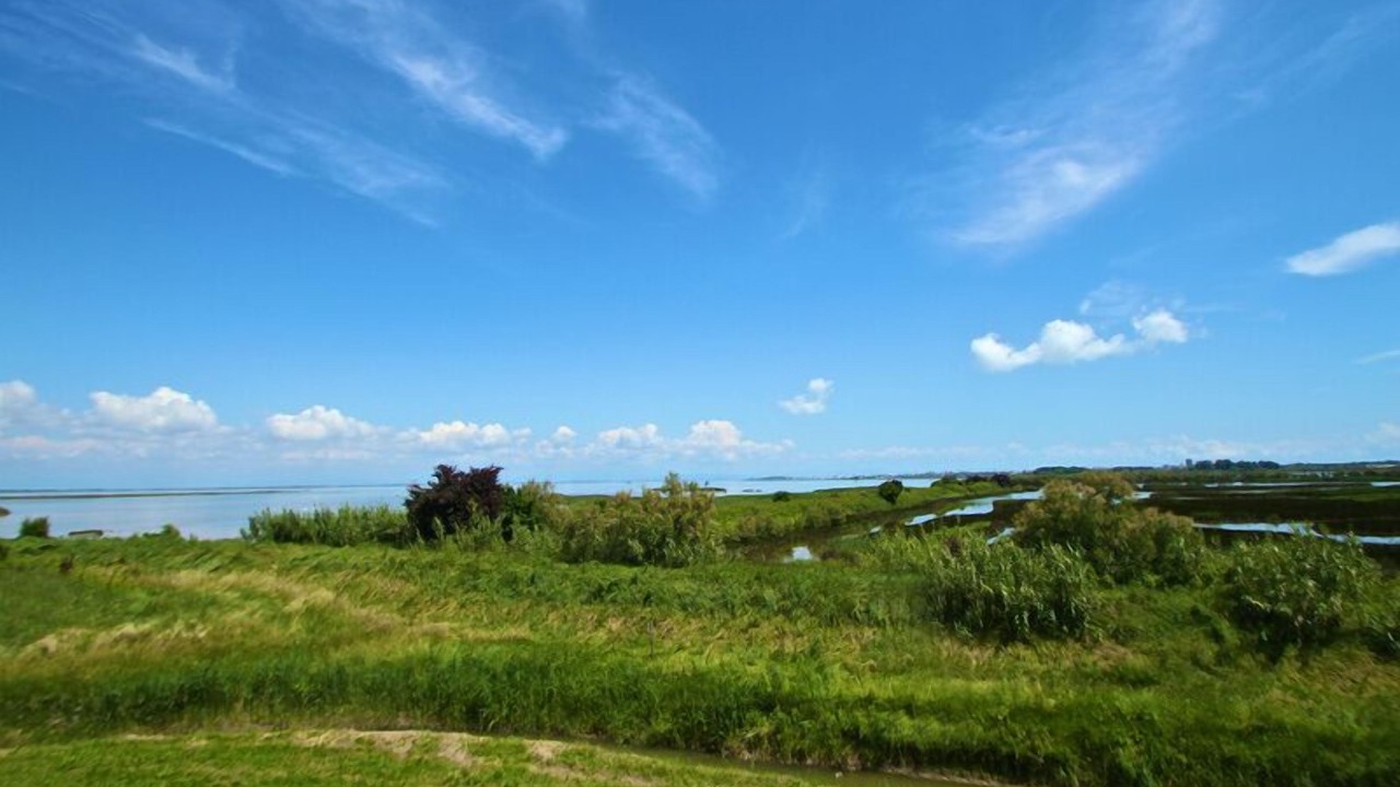 Photo of Outdoor in Aprilia Marittima