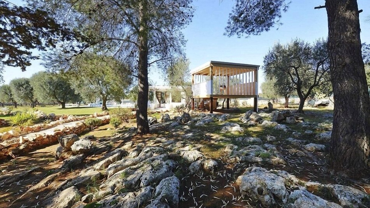Photo of Outdoor in Sava