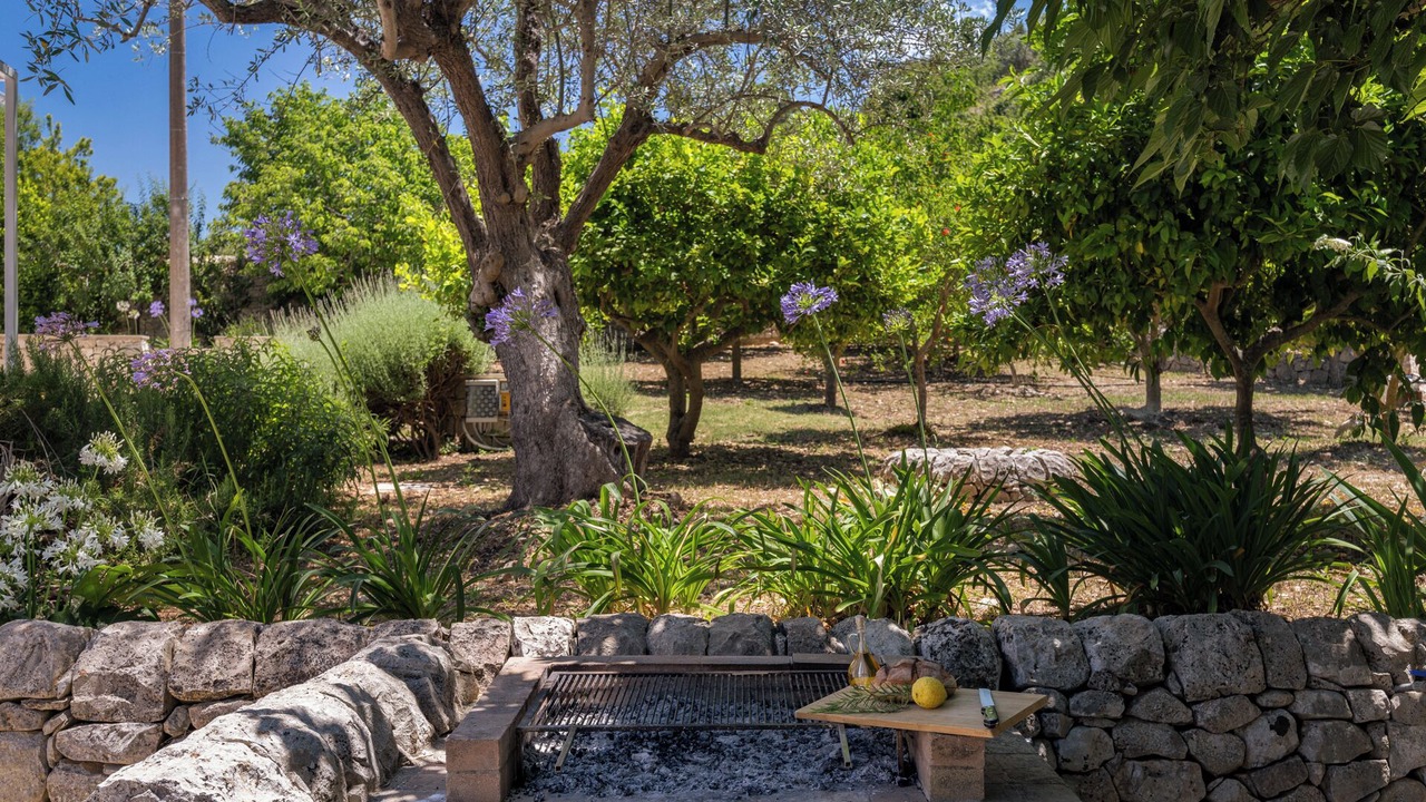 Photo of Outdoor in Casa Papa