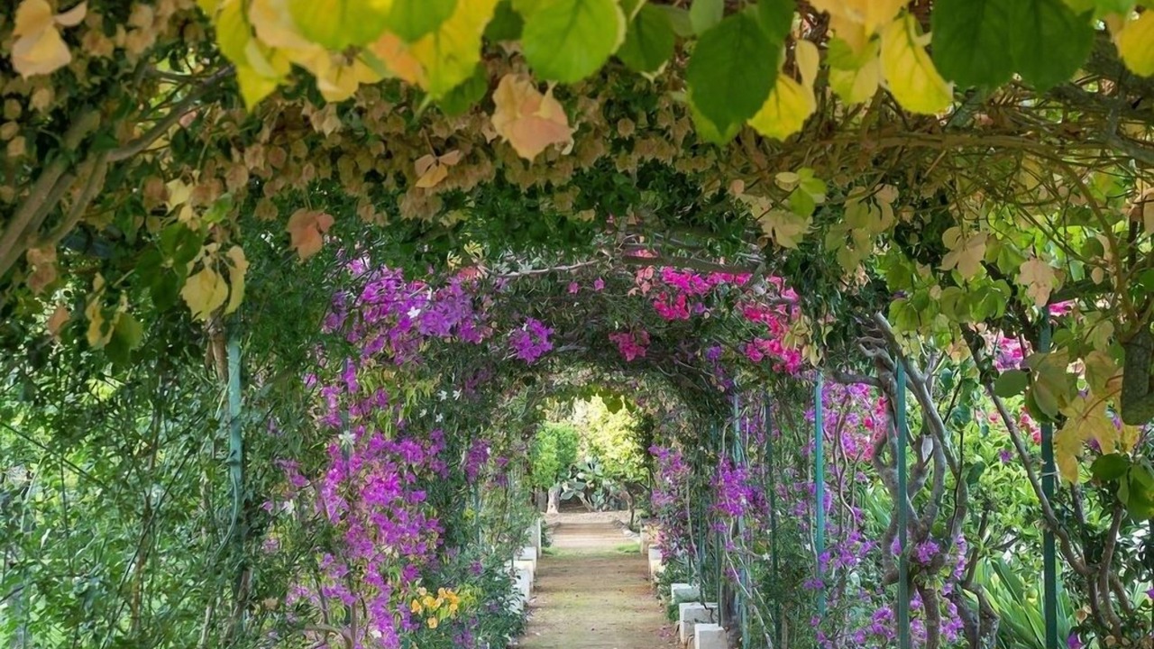 Photo of Outdoor in Arini