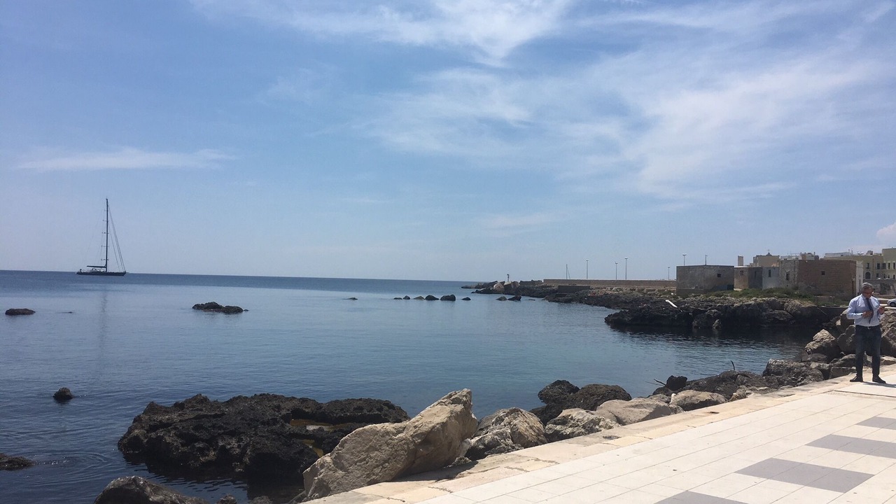 Photo of Others in Gallipoli