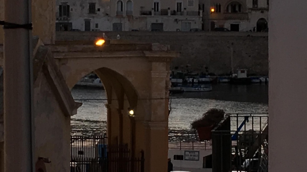 Photo of Others in Gallipoli