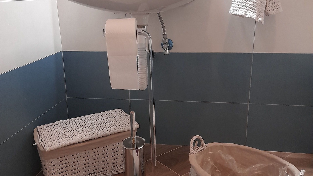 Photo of Bathroom in Usseglio