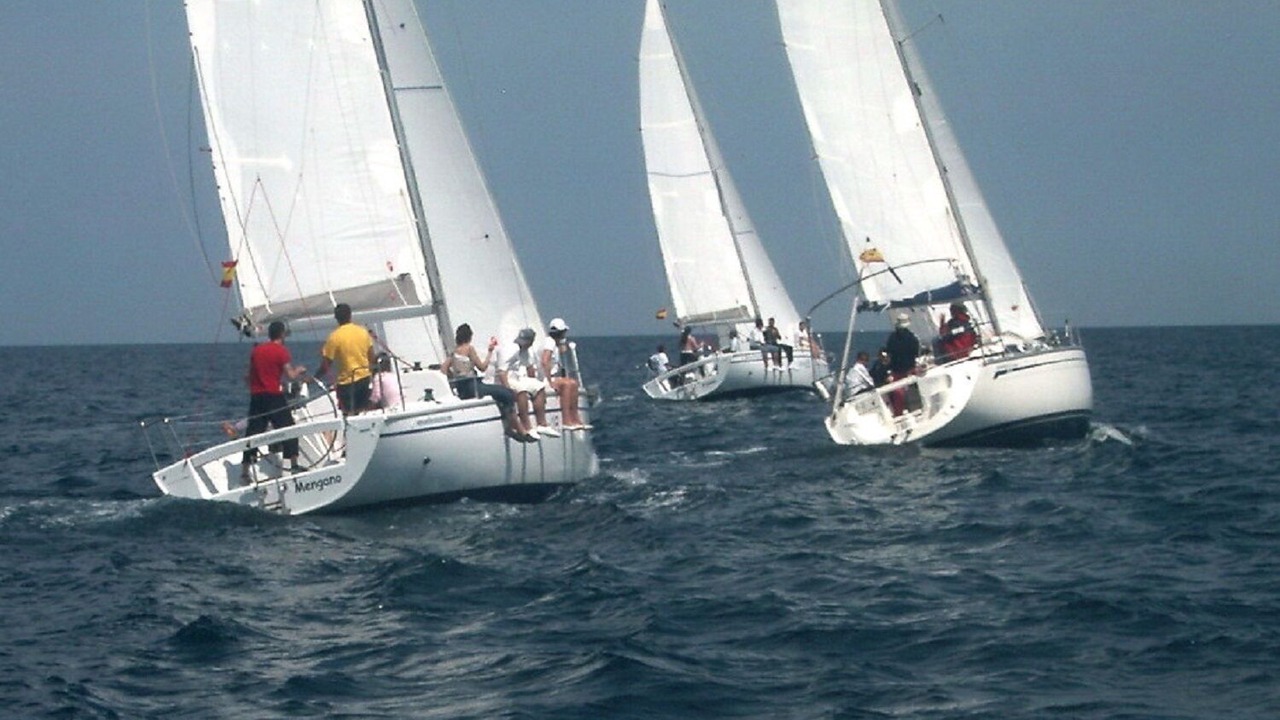 Photo of Others in L'Alfas del Pi