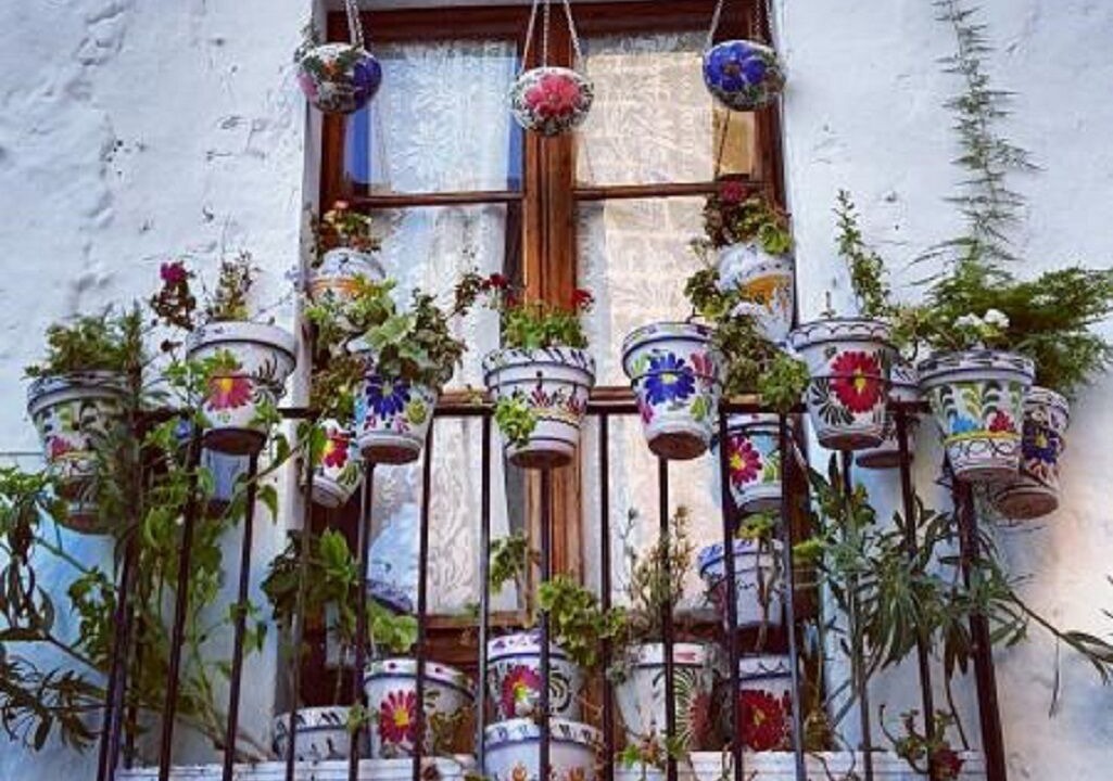 Photo of Outdoor in L'Alfas del Pi