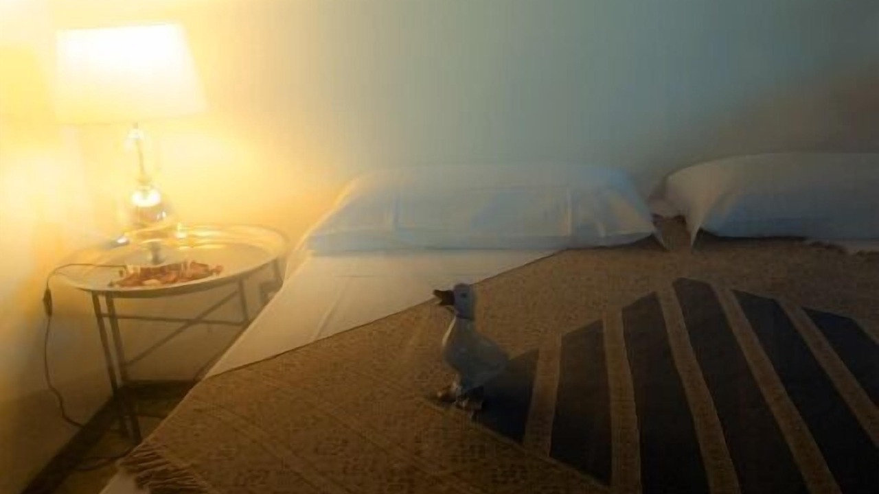 Photo of Bedroom in Garibaldi
