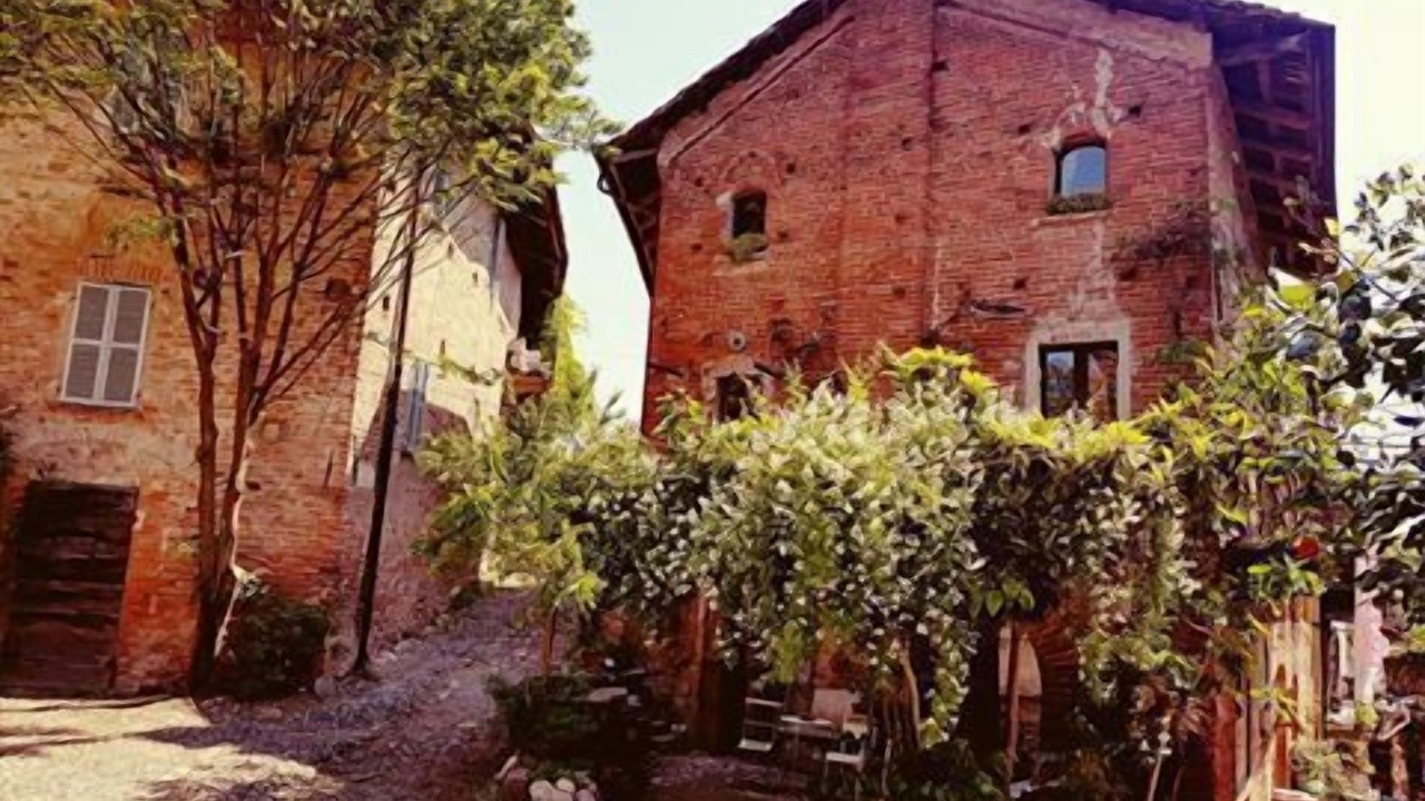 Photo of Outdoor in Garibaldi