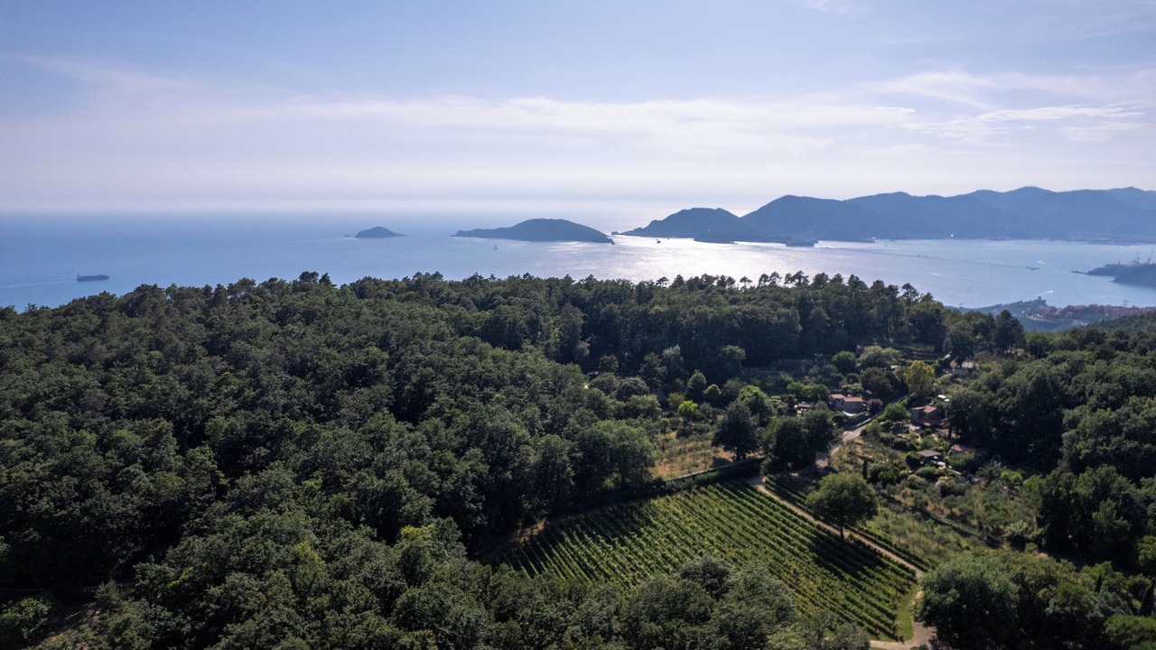 Photo of Others in Lerici