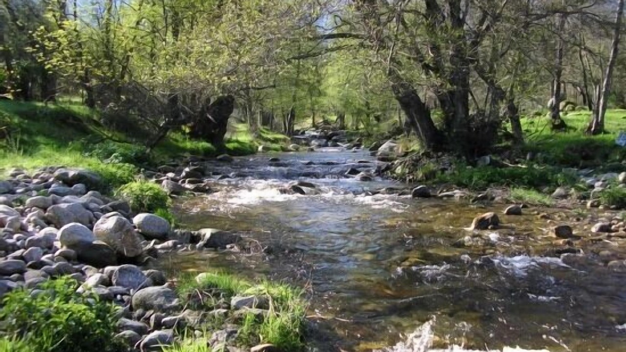Photo of Outdoor in Navaluenga