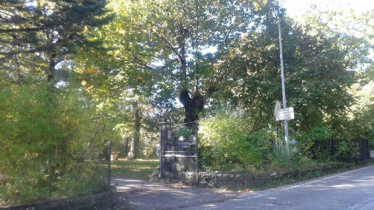 Photo of Others in Borzonasca