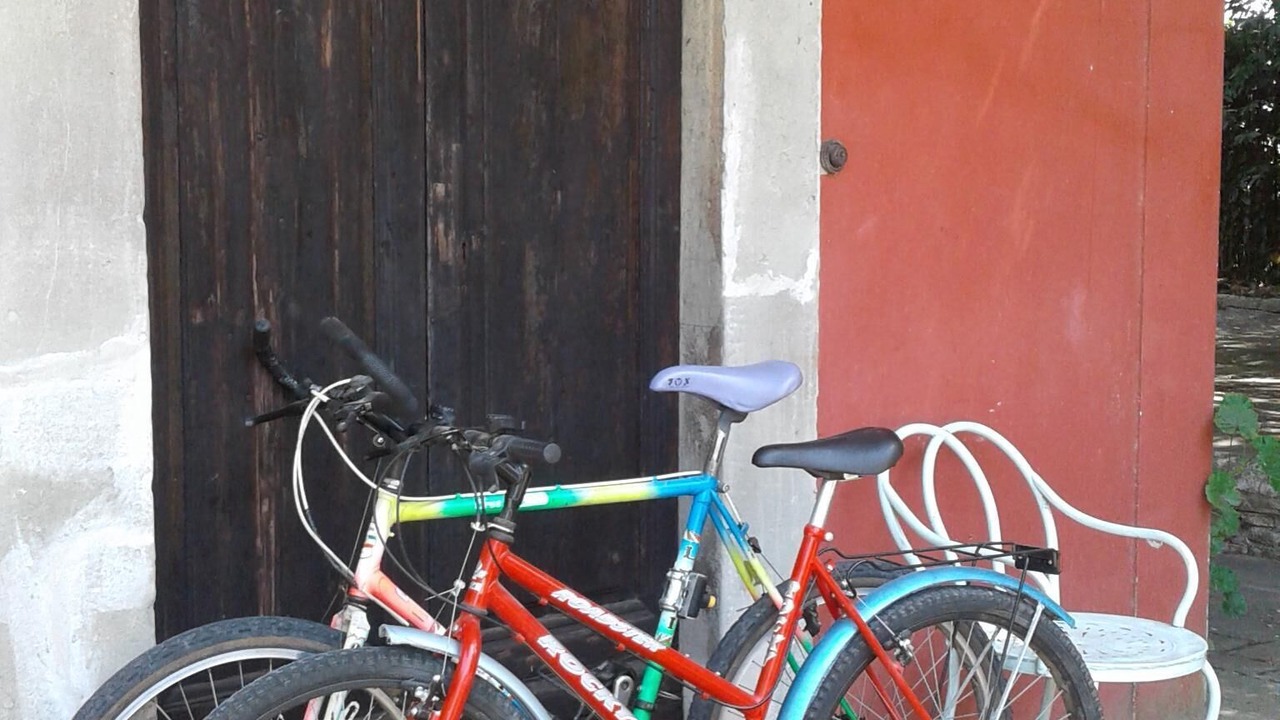 Photo of Outdoor in Fauglia