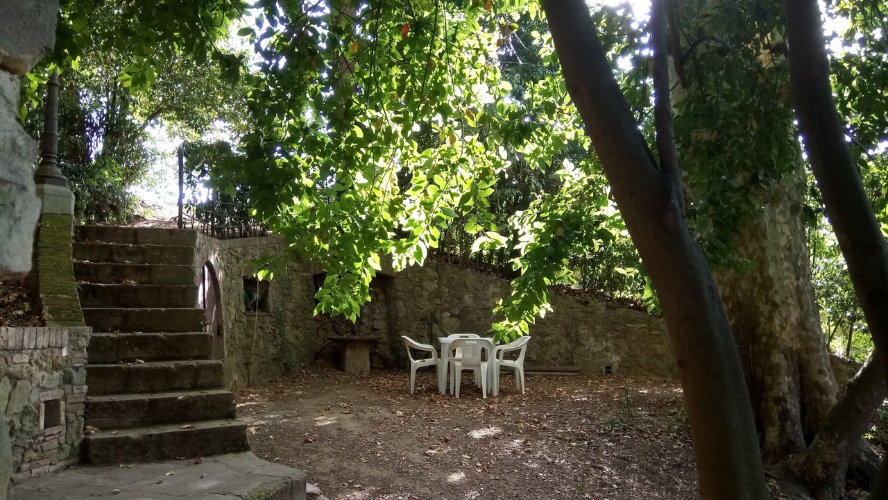 Photo of Outdoor in Fauglia