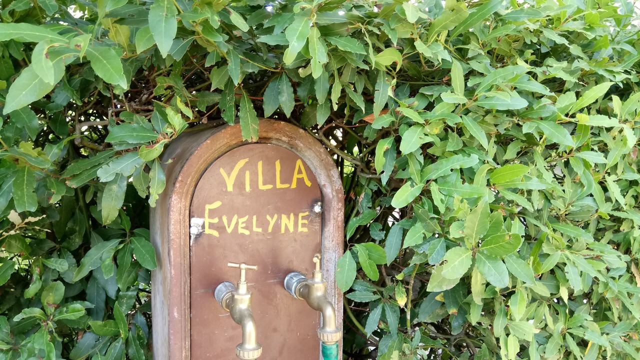Photo of Outdoor in Fauglia