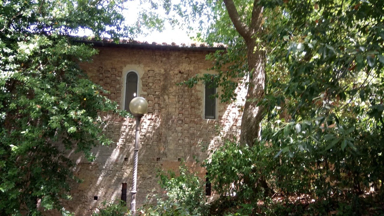 Photo of Outdoor in Fauglia