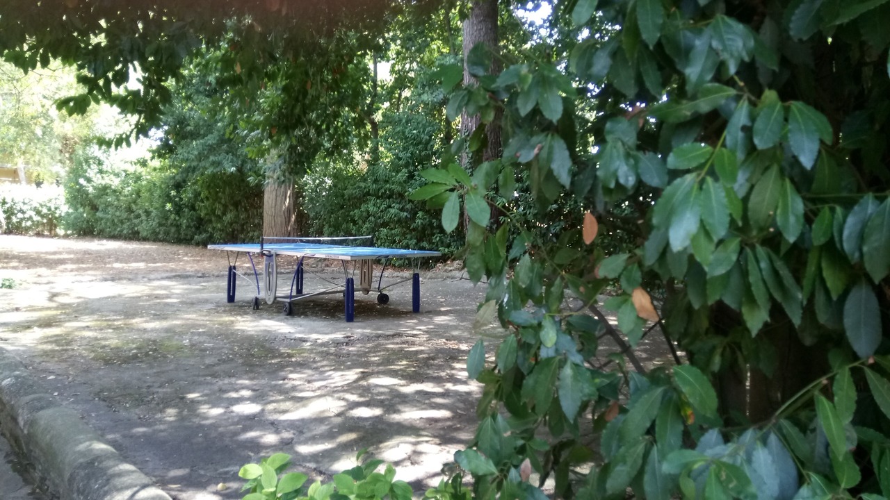 Photo of Outdoor in Fauglia