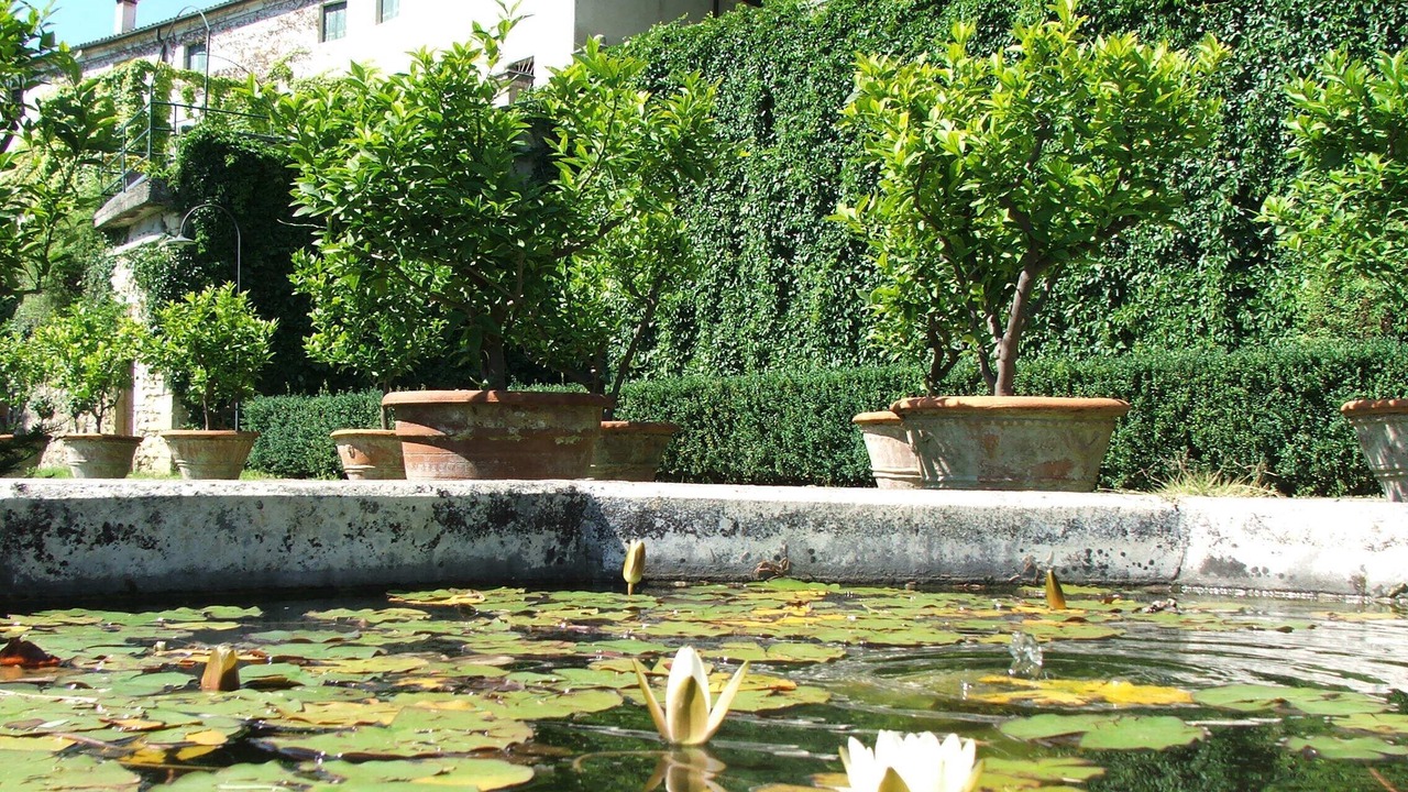 Photo of Outdoor in Barbarano Vicentino