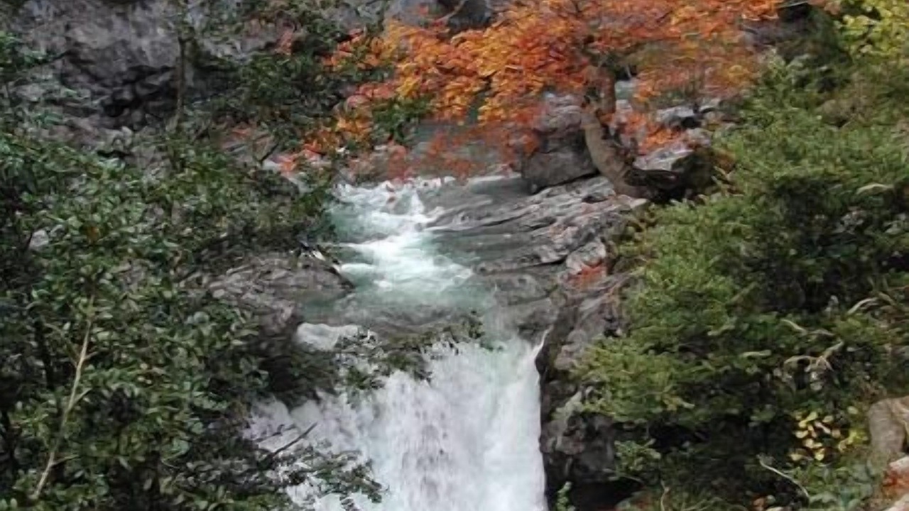 Photo of Outdoor in Puertolas