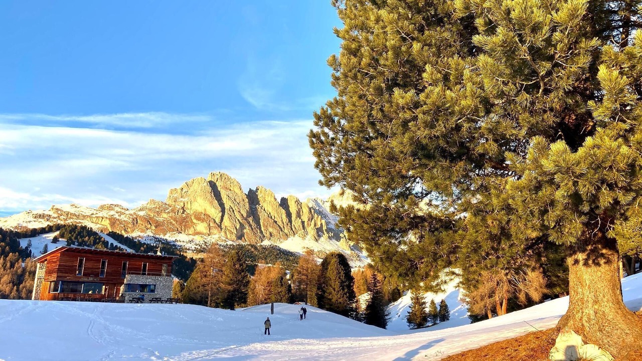 Photo of Outdoor in Bulla