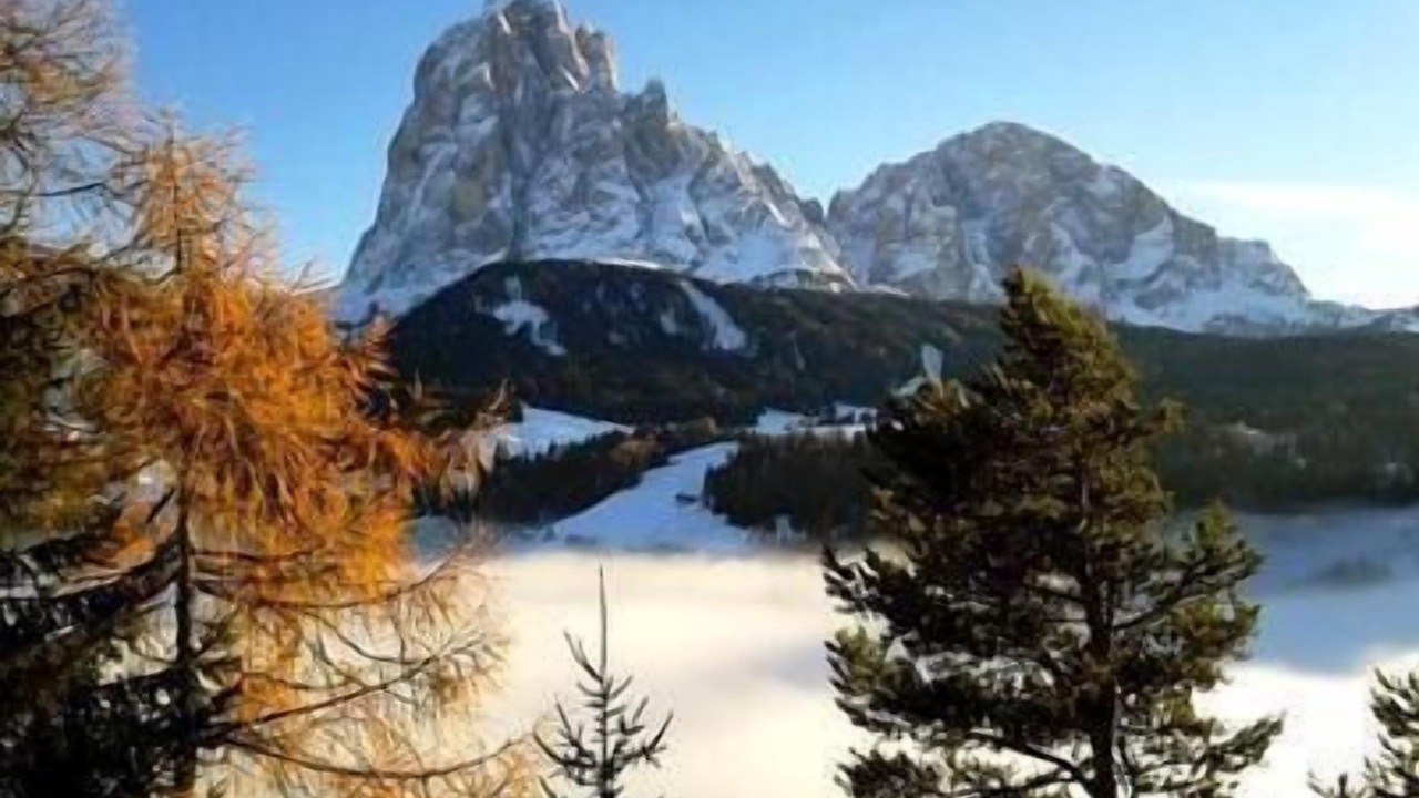Photo of Outdoor in Bulla