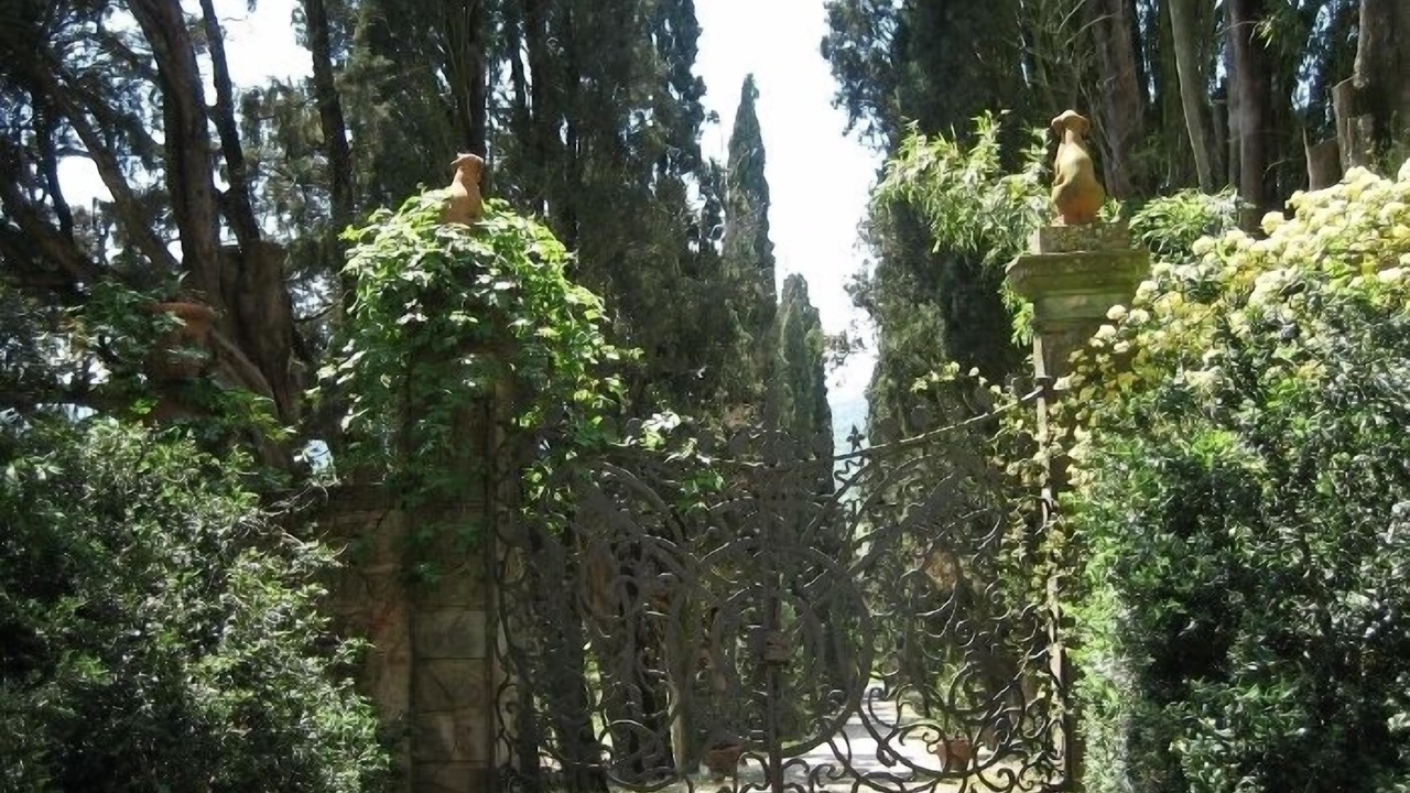 Photo of Outdoor in Monte San Savino