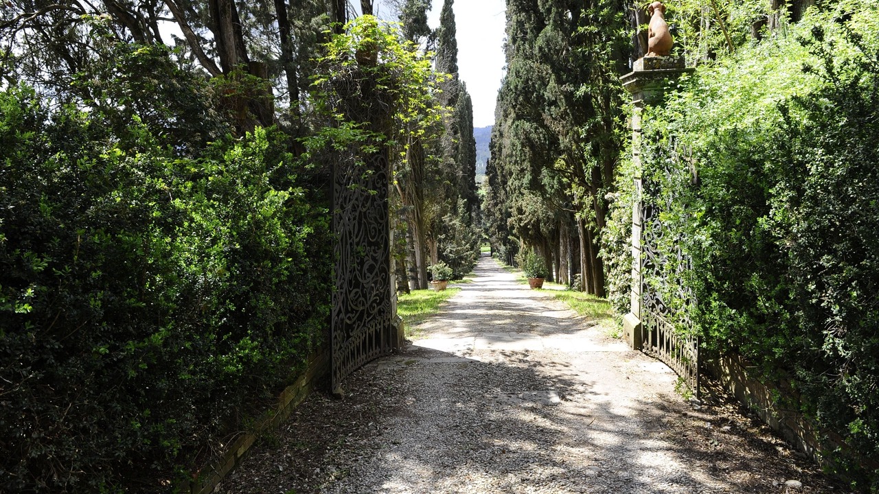 Photo of Outdoor in Monte San Savino