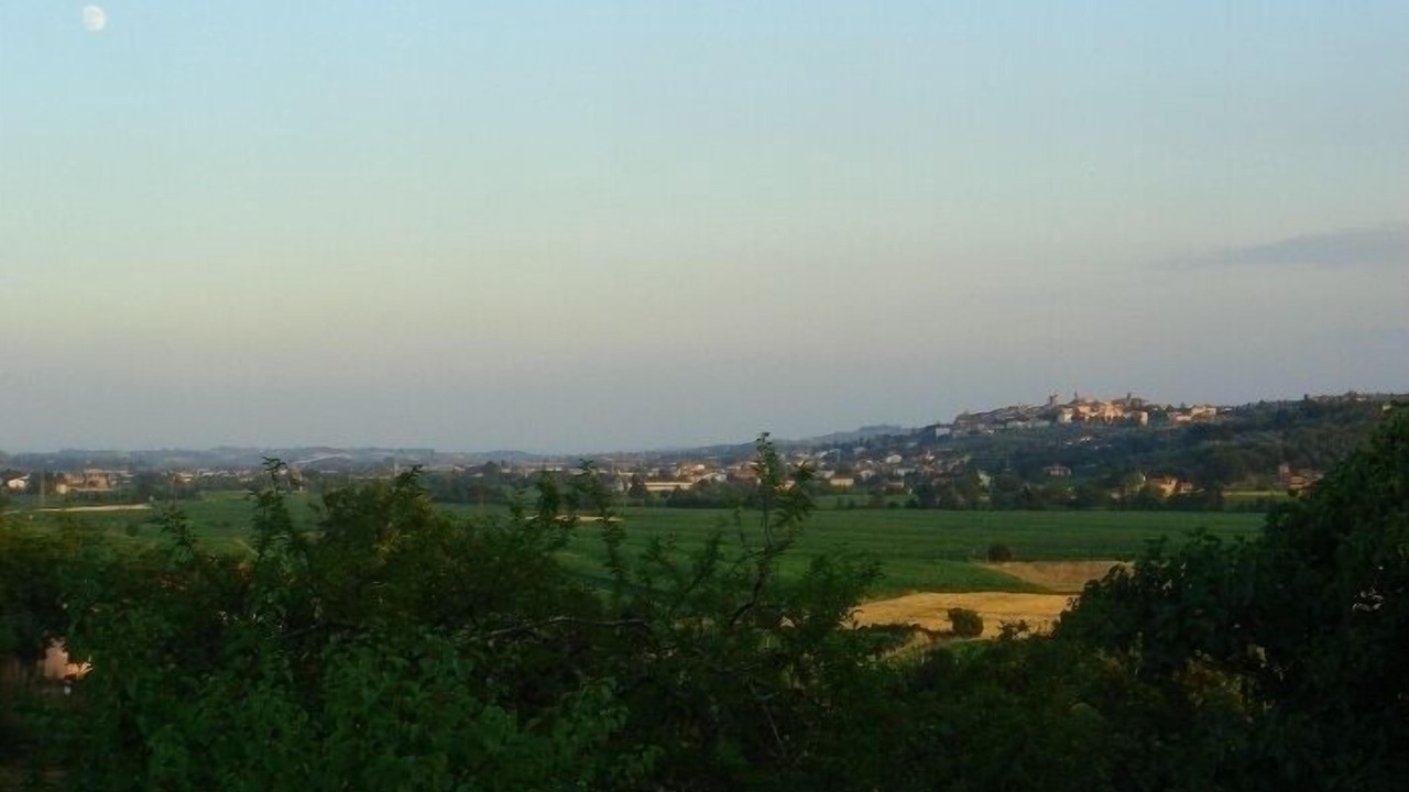 Photo of Others in Monte San Savino