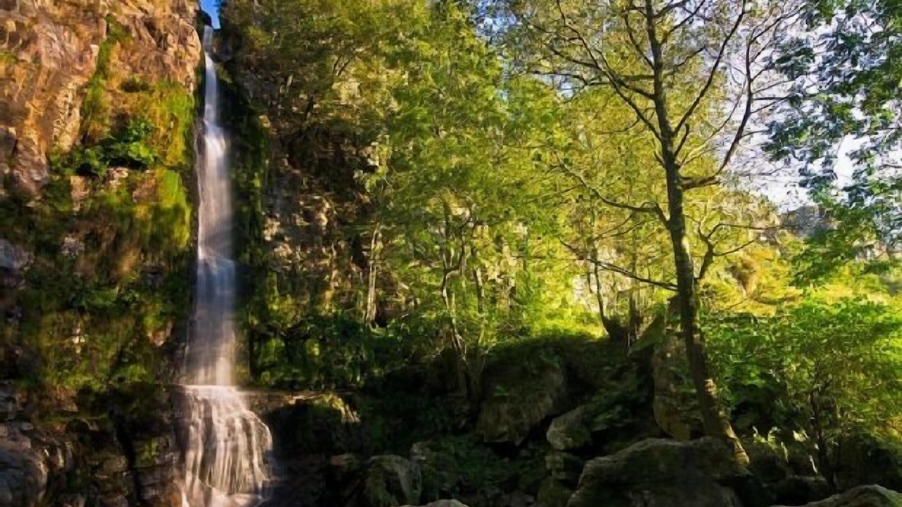 Photo of Outdoor in Valdes